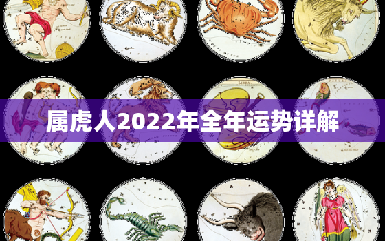 属虎人2022年全年运势详解，属虎人2022年运势及运程每月运程