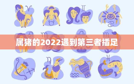 属猪的2022遇到第三者插足，2021年什么生肖第三者插足