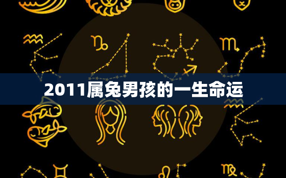 2011属兔男孩的一生命运，2011年属兔一生学业男孩