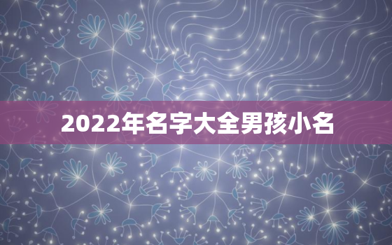 2022年名字大全男孩小名，2020男孩小名