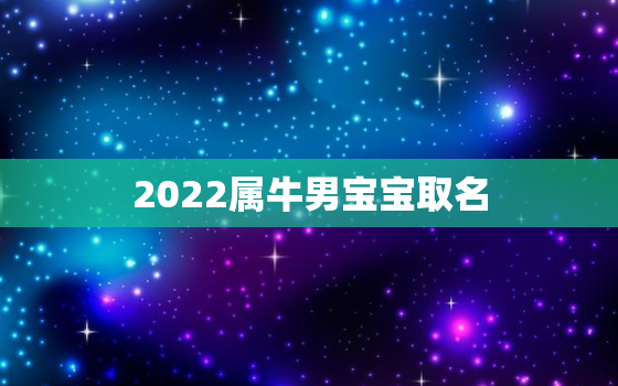 2022属牛男宝宝取名，2021牛年男宝宝名字