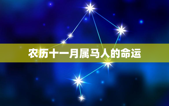 农历十一月属马人的命运，农历十一月的马是什么命