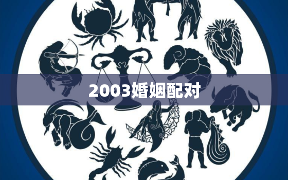 2003婚姻配对，2004年女婚姻配对