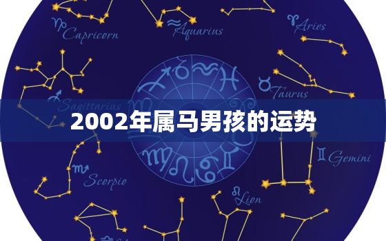 2002年属马男孩的运势，2002年的马运势如何