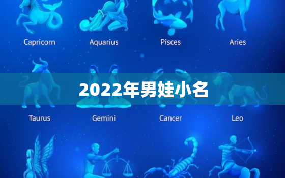 2022年男娃小名，2021年男孩儿小名大全洋气