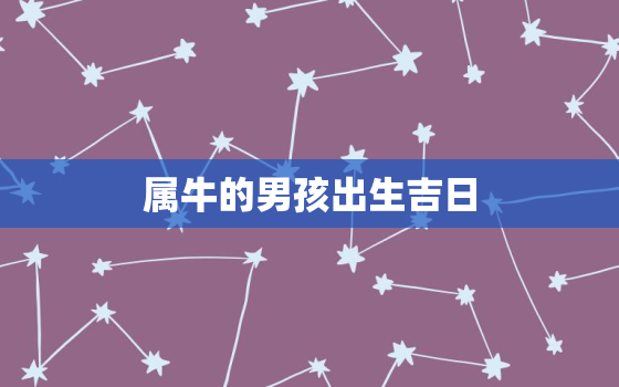 属牛的男孩出生吉日，属牛的男孩出生在阴历几月更好