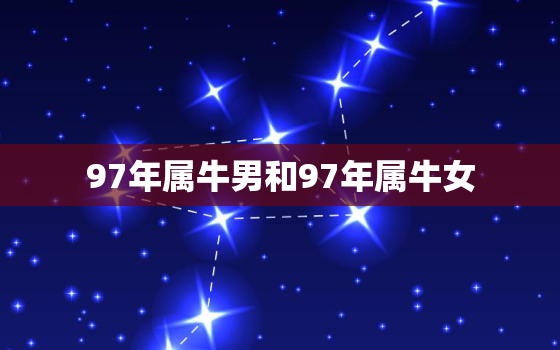 97年属牛男和97年属牛女，97属牛女与97属牛男