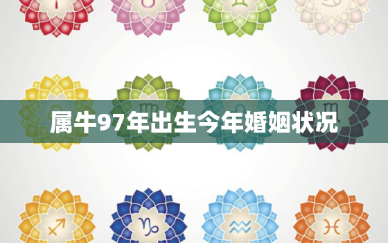 属牛97年出生今年婚姻状况，97年属牛更佳结婚年龄