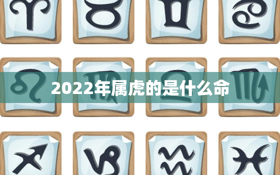 2022年属虎的是什么命，2024年属龙的是什么命