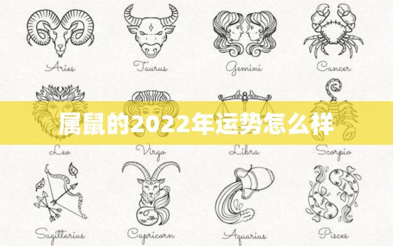 属鼠的2022年运势怎么样，属鼠的2022年的运势及运程