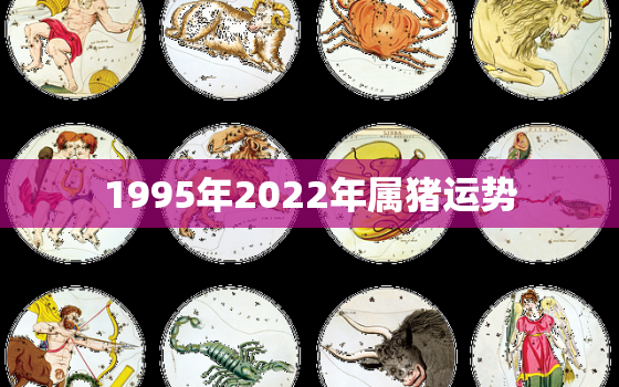 1995年2022年属猪运势，95年猪在2022年的运程