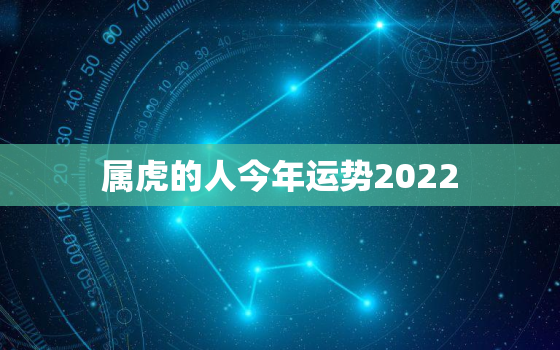 属虎的人今年运势2022，属虎的人今年运势怎么样