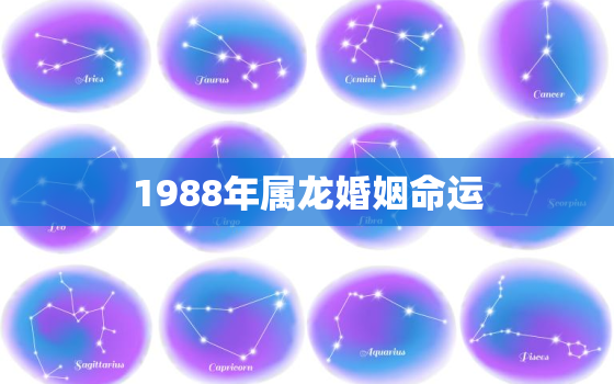 1988年属龙婚姻命运，1988年的属龙人婚姻运