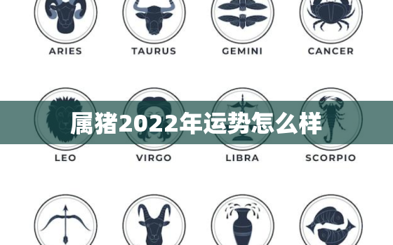 属猪2022年运势怎么样，2022年属猪人运势如何