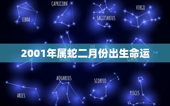 2001年属蛇二月份出生命运，2001年出生的属蛇男命运