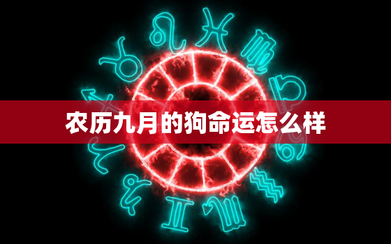 农历九月的狗命运怎么样，农历9月狗的命运怎么样