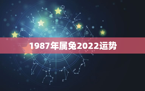 1987年属兔2022运势，1987年属兔2022年运势每月运势