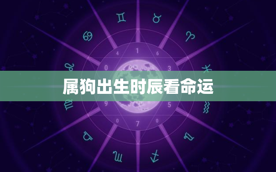 属狗出生时辰看命运，属狗的出生时辰与属相命运