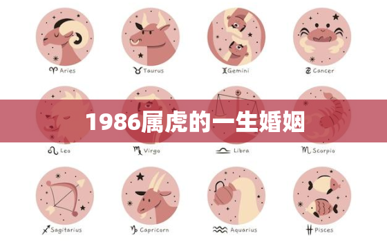 1986属虎的一生婚姻，1986属虎的一生婚姻有几次