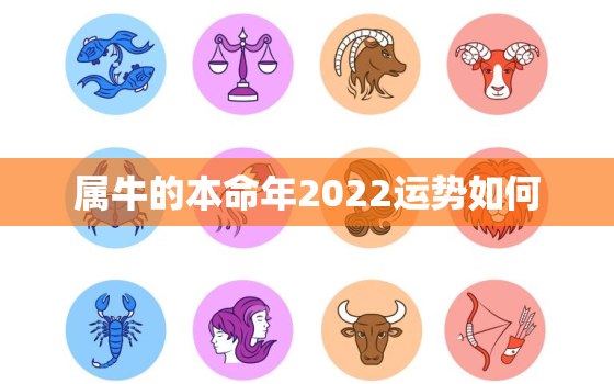 属牛的本命年2022运势如何，属牛人2022年运势如何