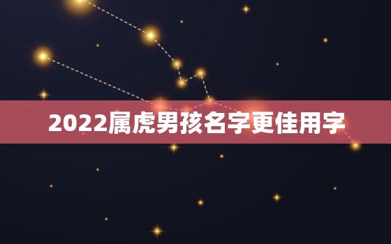 2022属虎男孩名字更佳用字，2022年虎宝宝取名字大全