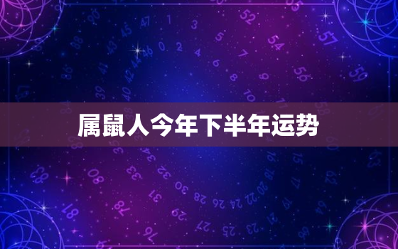 属鼠人今年下半年运势，属鼠今年下半年的运势