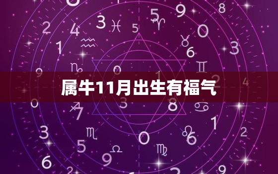 属牛11月出生有福气，属牛的11月出生好吗