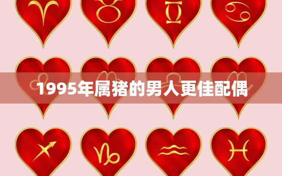 1995年属猪的男人更佳配偶，1995年猪的更佳配偶属相