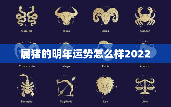 属猪的明年运势怎么样2022，2022属猪的运势和财运