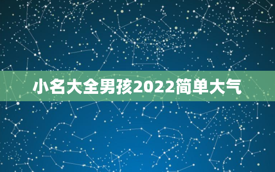 小名大全男孩2022简单大气，宝宝小名大全2020洋气男孩