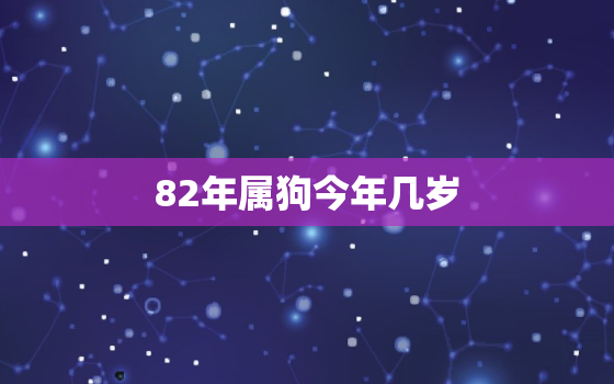 82年属狗今年几岁，82年属狗的今年多少岁