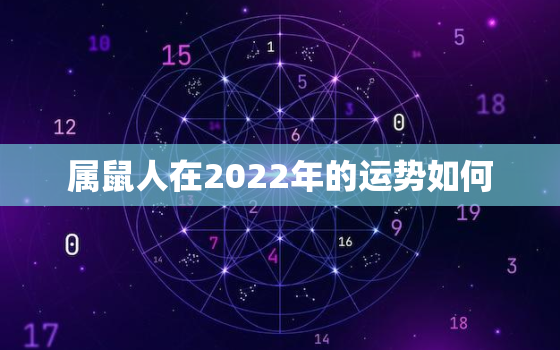 属鼠人在2022年的运势如何，2022年属鼠人的每月运势