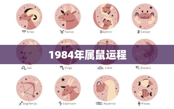 1984年属鼠运程，1984年属鼠的运势