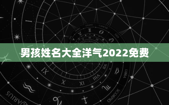 男孩姓名大全洋气2022免费，男宝宝姓名大全2020洋气