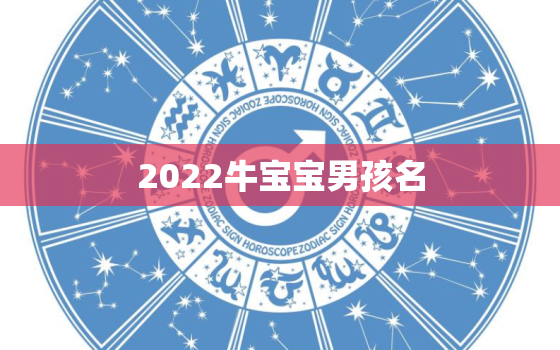 2022牛宝宝男孩名，2021牛宝宝男孩名