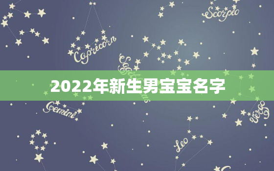 2022年新生男宝宝名字，2022年男孩名字大全