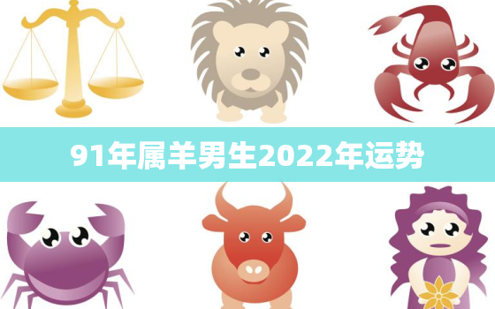 91年属羊男生2022年运势，91年的羊在2022年的运势