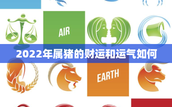 2022年属猪的财运和运气如何，属猪2022年运势如何