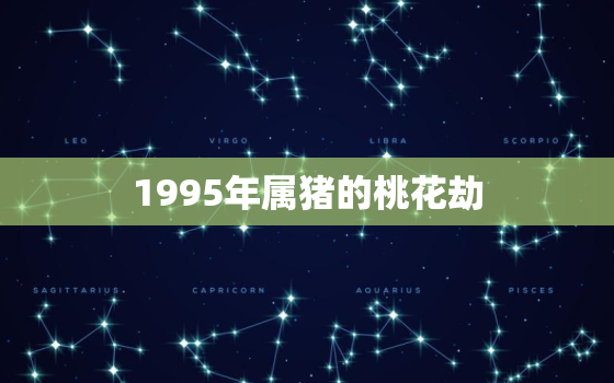 1995年属猪的桃花劫，1971年属猪的桃花劫