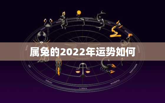 属兔的2022年运势如何，属兔的2022年运势如何男性