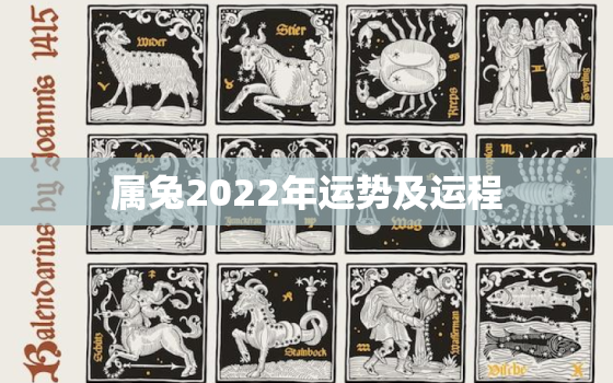 属兔2022年运势及运程，属兔2022年运势及运程1975