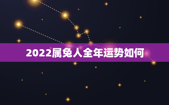 2022属兔人全年运势如何，2022年属兔人的运势