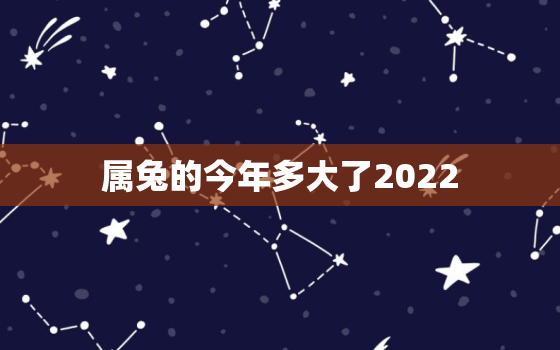 属兔的今年多大了2022，属兔的今年多大了2019视频