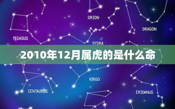 2010年12月属虎的是什么命，2010年属虎的是什么命男12月