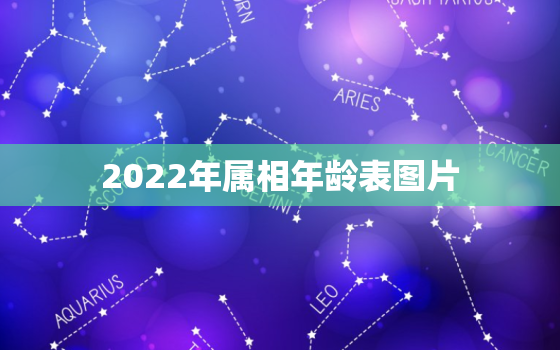 2022年属相年龄表图片，今年属相2022属相