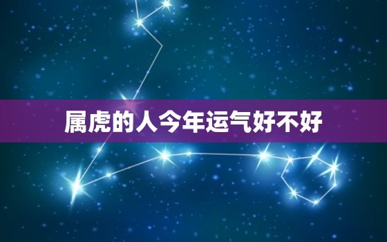 属虎的人今年运气好不好，今年属虎的运气怎么样