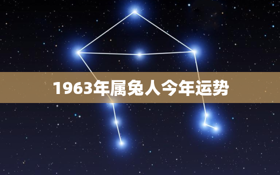 1963年属兔人今年运势，1963年属兔人今日运势