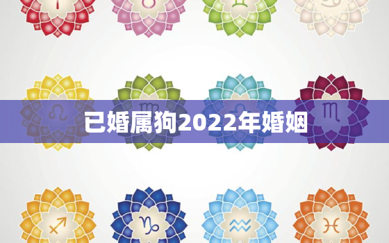 已婚属狗2022年婚姻，属狗2020已婚感情