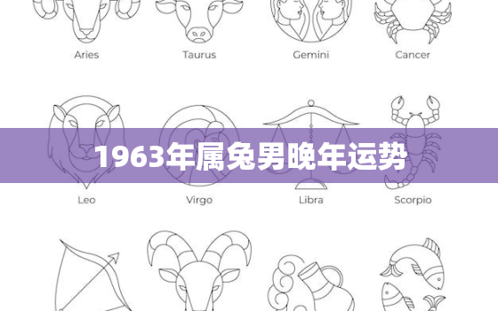 1963年属兔男晚年运势，1963年属兔今年财运