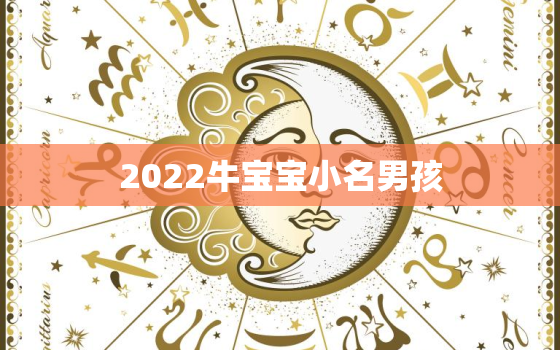 2022牛宝宝小名男孩，2021牛宝宝男孩小名